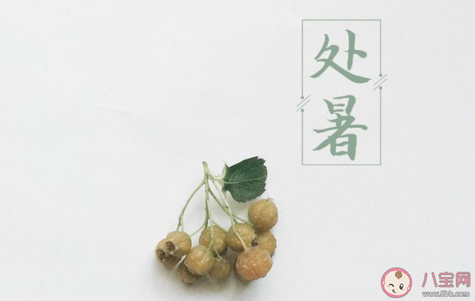 2020今日處暑節氣圖片說說 2020今日處暑個性說說帶圖 2020今日處暑節氣圖片說說 2020今日處暑個性說說帶圖