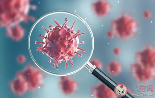 多國發(fā)現(xiàn)新冠病毒變異毒株怎么回事 新冠病毒毒株有幾種