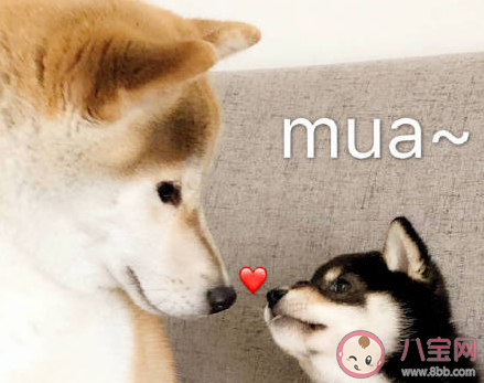 2020七夕情人節(jié)收到男朋友紅包圖片說說 2020曬男朋友七夕情人節(jié)紅包的說說句子 2020七夕情人節(jié)收到男朋友紅包圖片說說 2020曬男朋友七夕情人節(jié)紅包的說說句子