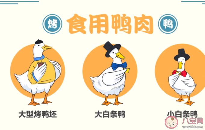 18塊一只的烤鴨能不能吃 街頭烤鴨是打了激素的嗎