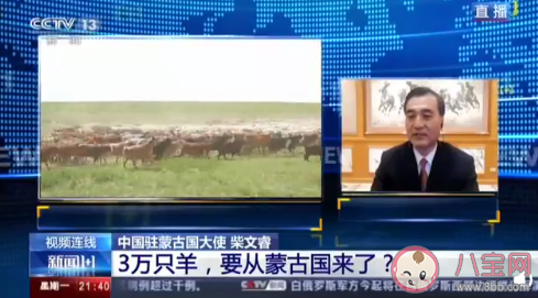 蒙古國為什么捐贈3萬只羊 3萬只羊會送給湖北嗎
