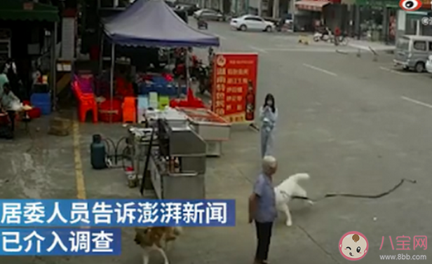 老人被狗繩絆倒摔地后身亡是怎么回事 狗主人應(yīng)該負責嗎 老人被狗繩絆倒摔地后身亡是怎么回事 狗主人應(yīng)該負責嗎