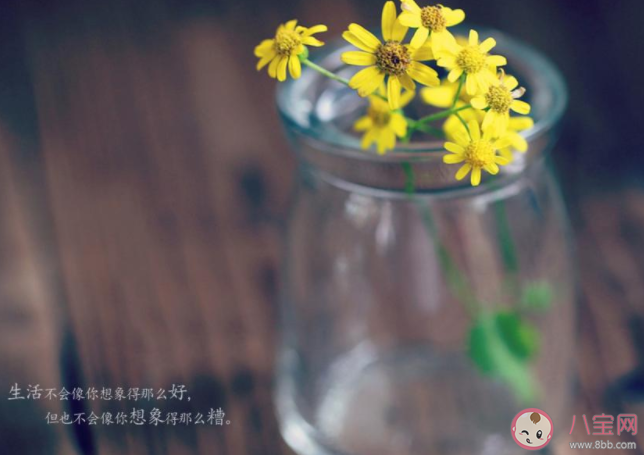 2020九月一句話致自己的勵(lì)志朋友圈說說 2020九月鼓勵(lì)自己的朋友圈勵(lì)志句子