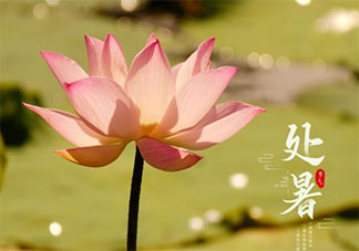 2020處暑節氣經典順口溜諺語大全 2020處暑節氣的農諺順口溜句子