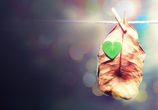 2020甜到炸的文藝表白文案大全 矯情的文藝表白情話