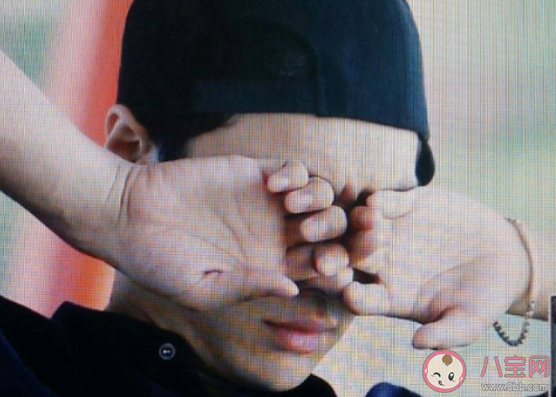 異物入眼時怎么處理可能會傷害到眼睛 螞蟻莊園8月20日答案 異物入眼時怎么處理可能會傷害到眼睛 螞蟻莊園8月20日答案