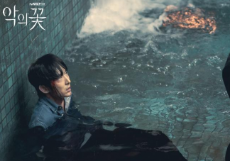 韓劇《惡之花》男主姐姐是兇手嗎 海秀是幕后大boss嗎