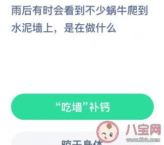 雨后會看到不少蝸牛爬到水泥墻上是在做什么 螞蟻莊園8月22日答案