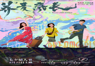 蕎麥瘋長電影名字有什么寓意 蕎麥花花語是什么