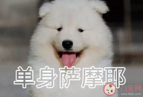 七夕可以租男女朋友嗎 情人節(jié)租男朋友多少錢(qián)