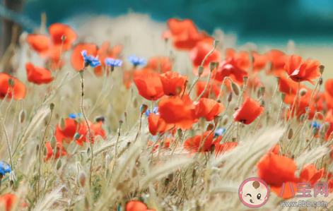 七夕情人節(jié)套路表白對話 七夕怎么撩喜歡的女生 七夕情人節(jié)套路表白對話 七夕怎么撩喜歡的女生