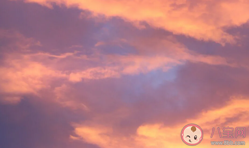 2.14情人節(jié)撩妹情話大全 有哪些撩女生的幽默情話 2.14情人節(jié)撩妹情話大全 有哪些撩女生的幽默情話