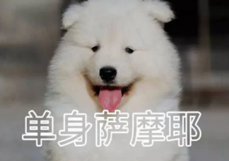 七夕可以租男女朋友嗎 情人節租男朋友多少錢