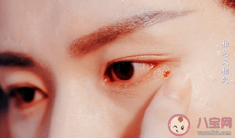 點痣專家褚璇璣什么梗 點痣專家褚璇璣什么意思