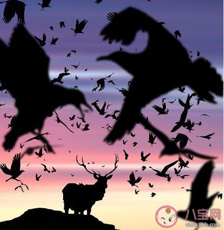 越長大越深信不疑的道理有哪些 長大之后越來越相信的道理