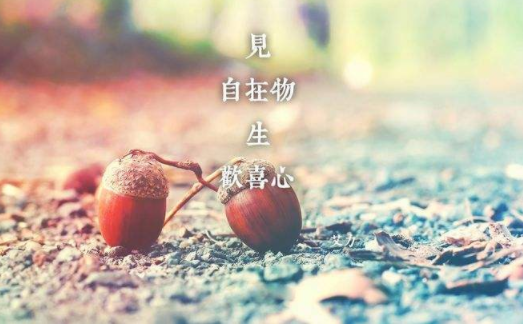 2020逗比搞笑的毒雞湯語錄句子大全 2020最逗逼最搞笑的毒雞湯金句 2020逗比搞笑的毒雞湯語錄句子大全 2020最逗逼最搞笑的毒雞湯金句