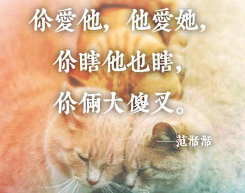 關于愛情中求而不得的毒雞湯語錄 愛情中得不到的頹廢毒雞湯句子 關于愛情中求而不得的毒雞湯語錄 愛情中得不到的頹廢毒雞湯句子