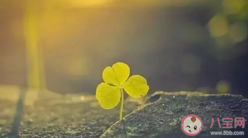 2020最新鼓勵自己正能量朋友圈短句 干凈走心致自己的正能量句子