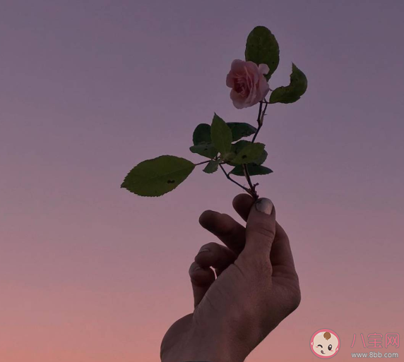 付出沒有回報的心情說說 付出沒有回報的心情句子