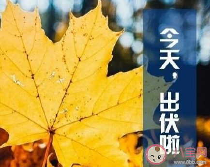 三伏天終于過完了的朋友圈說說 三伏天終于結束了發朋友圈句子 三伏天終于過完了的朋友圈說說 三伏天終于結束了發朋友圈句子