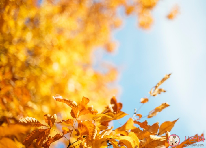 2020出伏后怎么養生 出伏養生要注意什么