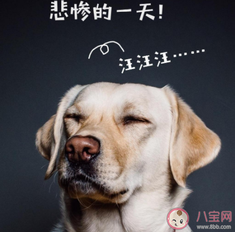 2020七夕情人節一個人過傷感的朋友圈 2020一個人過七夕寂寞傷感文案句子