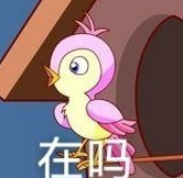 七夕布谷鳥是什么意思 七夕布谷鳥什么梗