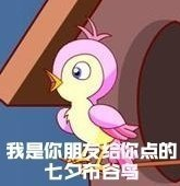 七夕布谷鳥是什么意思 七夕布谷鳥什么梗