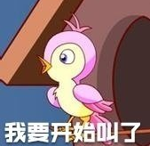 七夕布谷鳥是什么意思 七夕布谷鳥什么梗