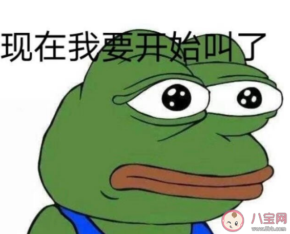 七夕蛤蟆怎么弄怎么預定 七夕蛤蟆是什么意思什么梗 七夕蛤蟆怎么弄怎么預定 七夕蛤蟆是什么意思什么梗