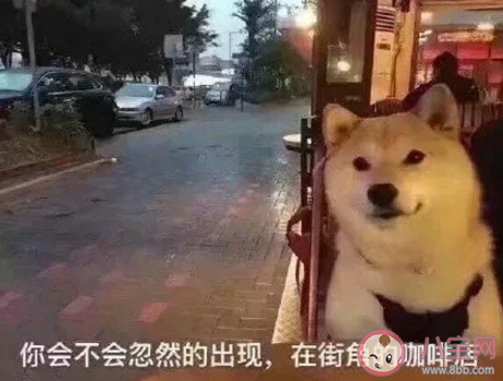 七夕蛤蟆怎么弄怎么預定 七夕蛤蟆是什么意思什么梗 七夕蛤蟆怎么弄怎么預定 七夕蛤蟆是什么意思什么梗