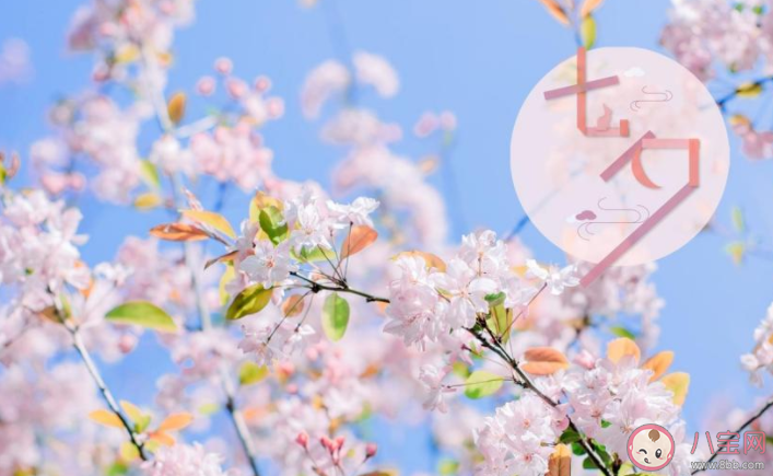 七夕過生日的心情說說分享 七夕過生日的朋友圈文案句子