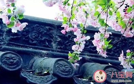 抖音我也曾經為某人癡狂來不及堅強是什么歌 《誰念西風獨自涼》完整歌詞相關介紹