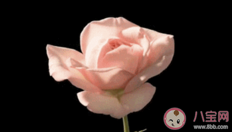 七夕節聽過最美的表白文案是什么 七夕最美表白文案短句 七夕節聽過最美的表白文案是什么 七夕最美表白文案短句