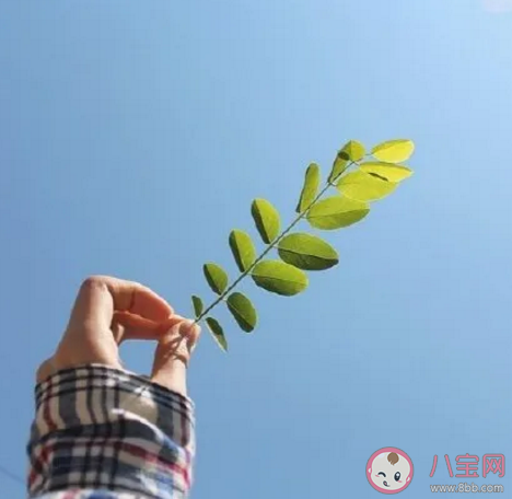 2020感悟生活心情唯美句子 簡單又唯美的心情文案說說