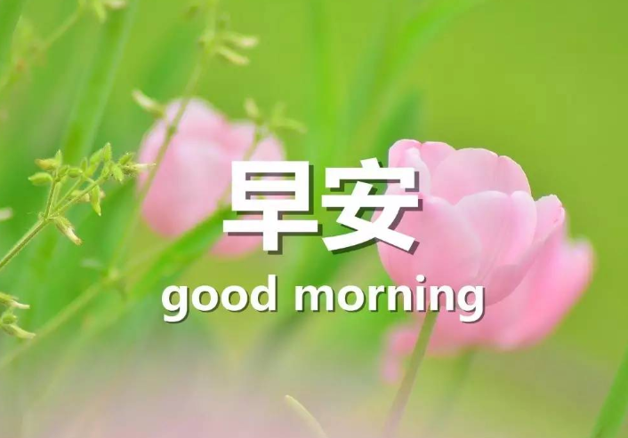 早安朋友圈正能量勵志配文句子 每天一條正能量早安簡短句子