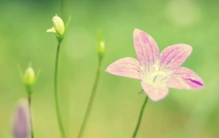 早安朋友圈正能量勵志配文句子 每天一條正能量早安簡短句子