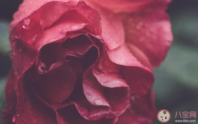 七夕情人節(jié)還要加班工作的朋友圈說(shuō)說(shuō) 七夕情人節(jié)加班發(fā)朋友圈感受句子