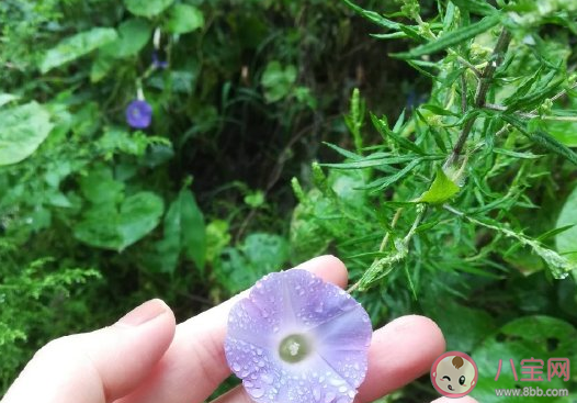 2020第一次出遠門的心情說說 疫情后第一次出門朋友圈感言句子 2020第一次出遠門的心情說說 疫情后第一次出門朋友圈感言句子