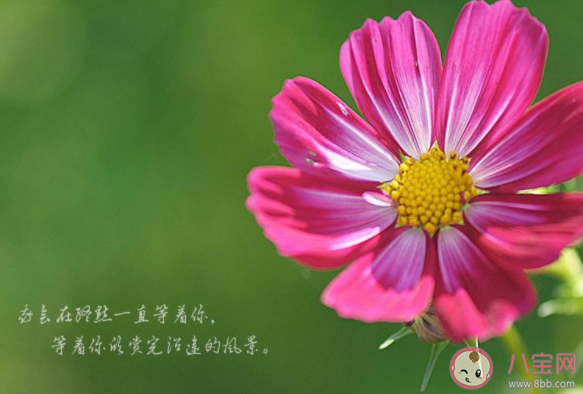 2020八月最后一天圖片心情說說 2020八月最后一天圖片發(fā)朋友圈文案句子