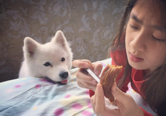 關于沒有吃東西體貼問候語 沒有吃東西的有人關心的話