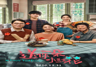 送你一朵小紅花講述了什么故事 易烊千璽有感情線嗎