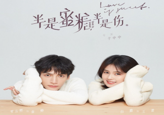 半是蜜糖半是傷是根據什么小說改編的 半是蜜糖半是傷結局是什么