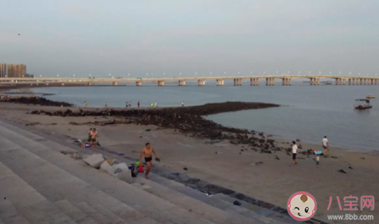 集美大橋上熱搜怎么回事 集美大橋在哪