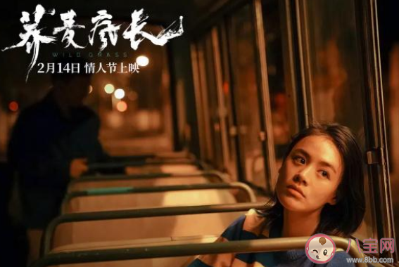 蕎麥瘋長很不好看嗎 蕎麥瘋長評價(jià)怎么樣