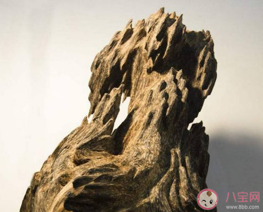 沉香木為什么這么貴 沉香木價格貴的原因分析 沉香木為什么這么貴 沉香木價格貴的原因分析