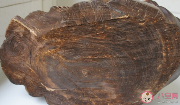 沉香木為什么這么貴 沉香木價格貴的原因分析 沉香木為什么這么貴 沉香木價格貴的原因分析