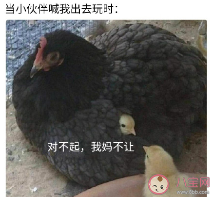 家教嚴是好事還是壞事 從小家教嚴是什么感受