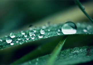 2020白露節氣一句話發朋友圈祝福語文案說說 2020白露節氣暖心祝福語朋友圈句子