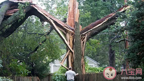 猜一猜一道閃電大約相當于多少度電 螞蟻莊園8月27日答案 猜一猜一道閃電大約相當于多少度電 螞蟻莊園8月27日答案